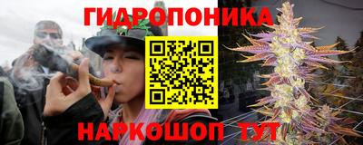 гашишное масло Будённовск