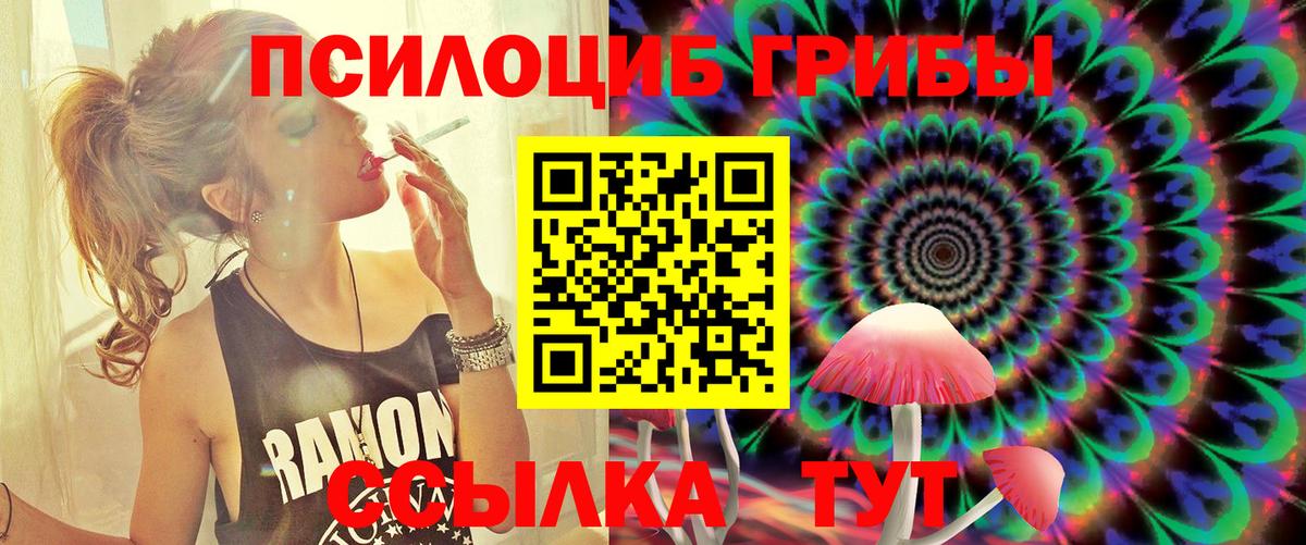 Сухой Лог  Псилоцибиновые грибы ЛСД  Вход с VPN  Псилоцибиновые грибы Psilocybe 